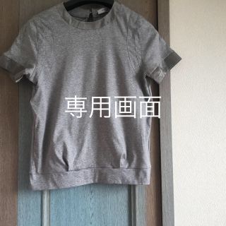 アドーア(ADORE)のアドーア  ADORE シルクテーピングカットソー グレー Tシャツプルオーバー(カットソー(半袖/袖なし))