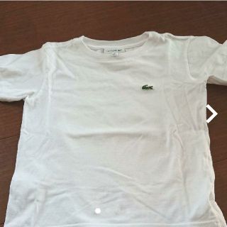 ラコステ(LACOSTE)のLACOSTETシャツ(Tシャツ/カットソー)