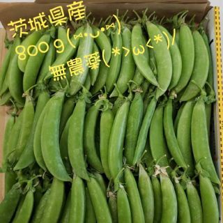 茨城県産☆*。無農薬☆*。ｽﾅｯﾌﾟｴﾝﾄﾞｳ(野菜)