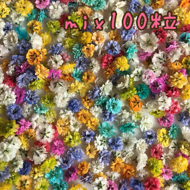 かすみ草 ドライフラワー   mix100粒 ハンドメイドのフラワー/ガーデン(ドライフラワー)の商品写真