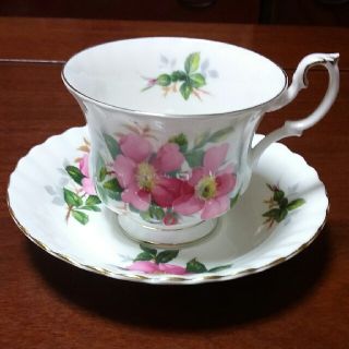 ロイヤルアルバート(ROYAL ALBERT)のカップ&ソーサ(食器)