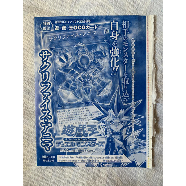 遊戯王(ユウギオウ)のサクリファイス・アニマ 2枚セット 遊戯王 まとめ売り エンタメ/ホビーのトレーディングカード(シングルカード)の商品写真