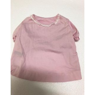 犬服Ｔシャツ(犬)