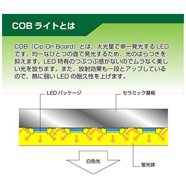 COBランタンライト 1個 スポーツ/アウトドアのアウトドア(ライト/ランタン)の商品写真