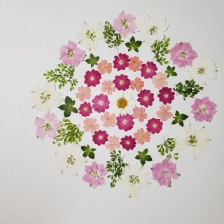 押し花素材  ミニセット(各種パーツ)