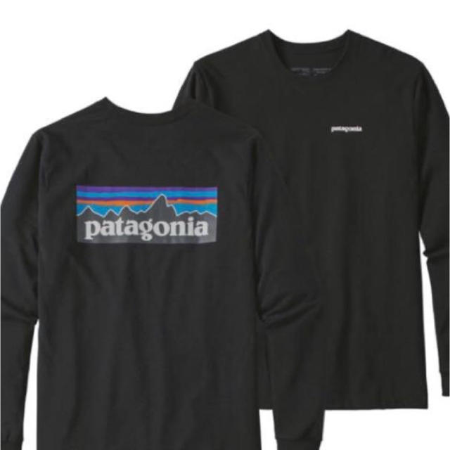 patagonia(パタゴニア)のパタゴニア ロンT P-6ロゴ M メンズのトップス(Tシャツ/カットソー(七分/長袖))の商品写真