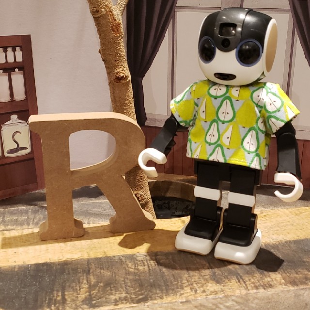 SHARP(シャープ)のRoBoHoN ロボホン ロボホンの服 エンタメ/ホビーのおもちゃ/ぬいぐるみ(模型/プラモデル)の商品写真