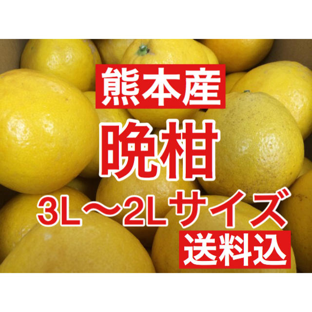 熊本産 河内晩柑(ジューシーオレンジ) 家庭用10キロ 3L〜2Lサイズ 送料込 食品/飲料/酒の食品(フルーツ)の商品写真