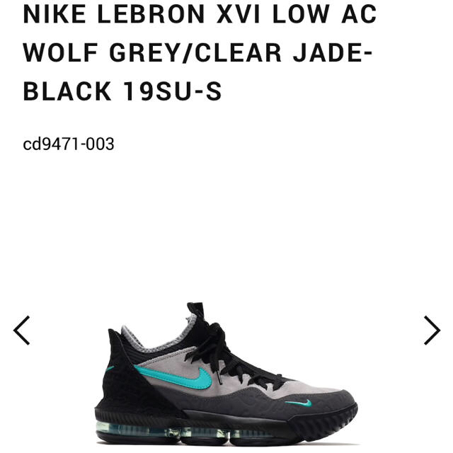 NIKE(ナイキ)のnike lebron 16 low atmos 30.0cm メンズの靴/シューズ(スニーカー)の商品写真