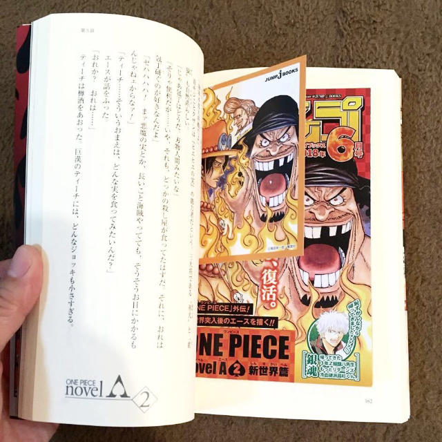 ワンピース One Piece 小説 2巻 新世界編エース 尾田栄一郎 美品の通販 By きりんとらいおん S Shop ラクマ