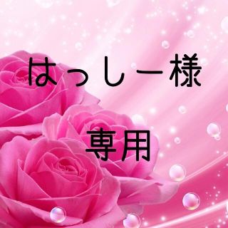 はっしー様専用  お米　H30　愛媛県産あきたこまち　玄米　30㎏(米/穀物)