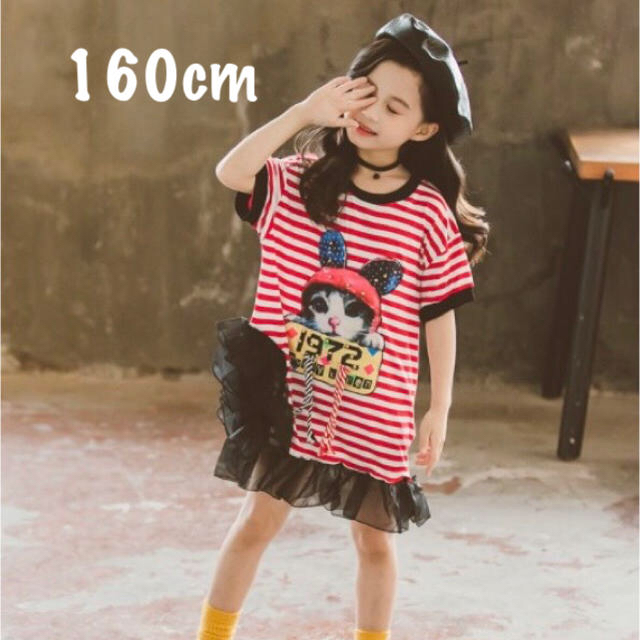 160cm ねこちゃんボーダーわんぴーす キッズ/ベビー/マタニティのキッズ服女の子用(90cm~)(ワンピース)の商品写真