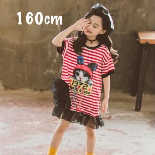 160cm ねこちゃんボーダーわんぴーす(ワンピース)