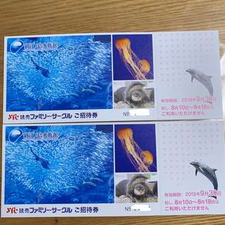 新江ノ島水族館ご招待券 2枚です。の通販 by DH's shop｜ラクマ