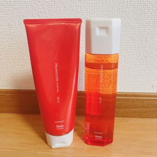 ホーユー(Hoyu)のhoyu ホーユー プロマスターカラーケア リッチ(ヘアケア)