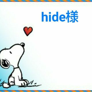 スヌーピー(SNOOPY)のhide様専用(キャラクターグッズ)