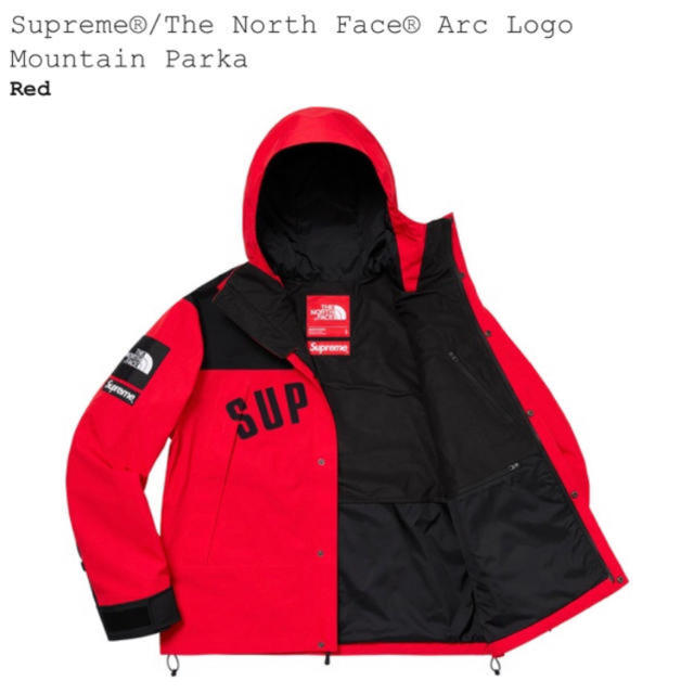 〔希少〕supreme north face xl