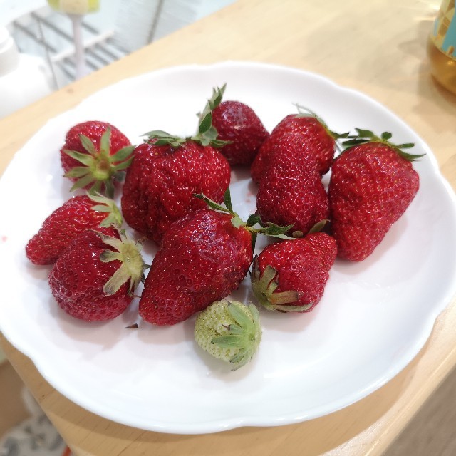 ヒグチユウコ コラボ缶 シェリーメゾンドビスキュイ 食品 ヒグチユウコ コラボ缶 シェリーメゾンドビスキュイ 食品