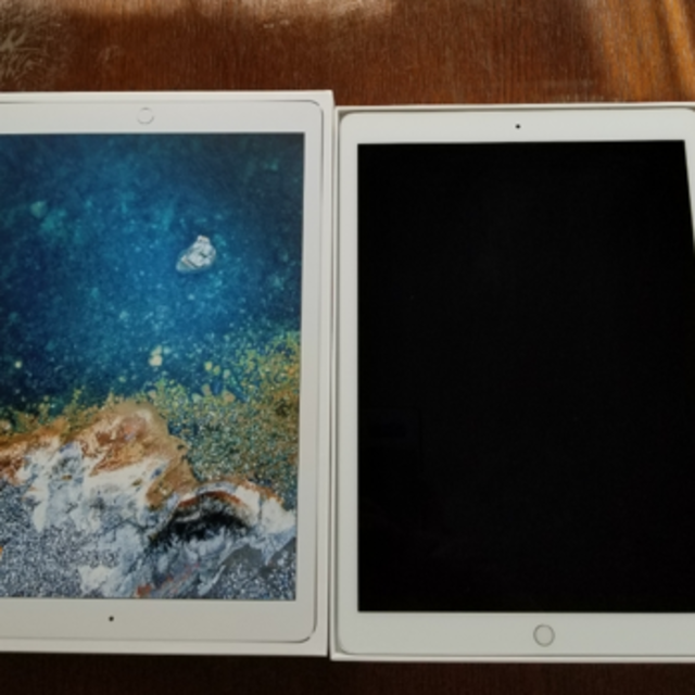 （もくらむ様専用出品）ipad pro12.9 256gb 第２世代のサムネイル