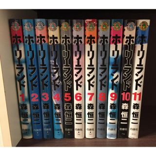 ハクセンシャ(白泉社)のホーリーランド 1〜11巻(青年漫画)