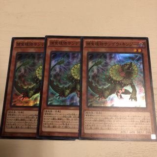 遊戯王 遊戯王 捕食植物 サンデウキンジー 3枚の通販 ラクマ