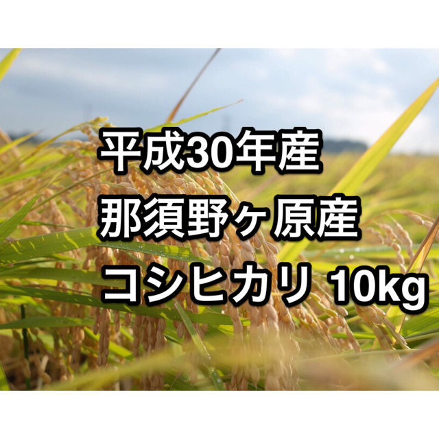 新米10kg　栃木県那須野が原産　無洗米/注文後に精米します】平成30年度　米/穀物