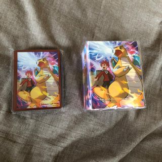 ポケモン - 【ポケカ サプライ】カイリュー&ワタル デッキシールド