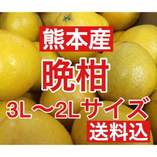 熊本産 河内晩柑(ジューシーオレンジ) 家庭用10キロ 3L〜2Lサイズ 送料込(フルーツ)