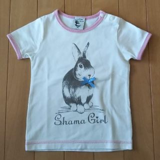 シャマ(shama)のShama Maruta　Tシャツ　女の子　90(Tシャツ/カットソー)