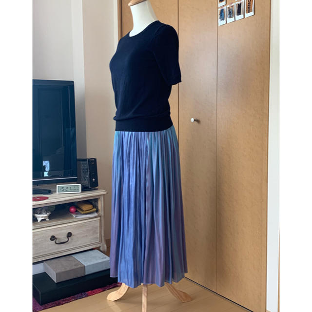 NINE(ナイン)のNINE グラデーションスカート  レディースのスカート(ロングスカート)の商品写真