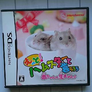 DS ハムスターとのフリマアイテム一覧 DS ハムスターとのフリマアイテム一覧