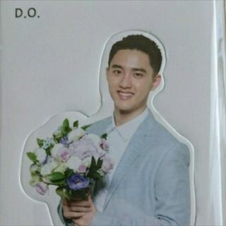 EXO ギョンス D.O.
ネイチャーリパブリック 全身ミニパネル(K-POP/アジア)