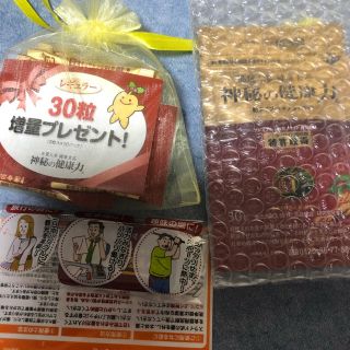 高麗人参 神秘の健康力(その他)