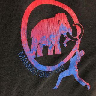 マムート(Mammut)のMAMMUT Ｔシャツ(Tシャツ/カットソー(半袖/袖なし))