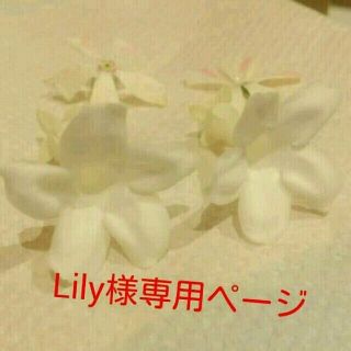 専用ページ(ピアス)