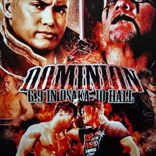 新日本プロレス 6.9 大阪城ホール ２階指定席(格闘技/プロレス)