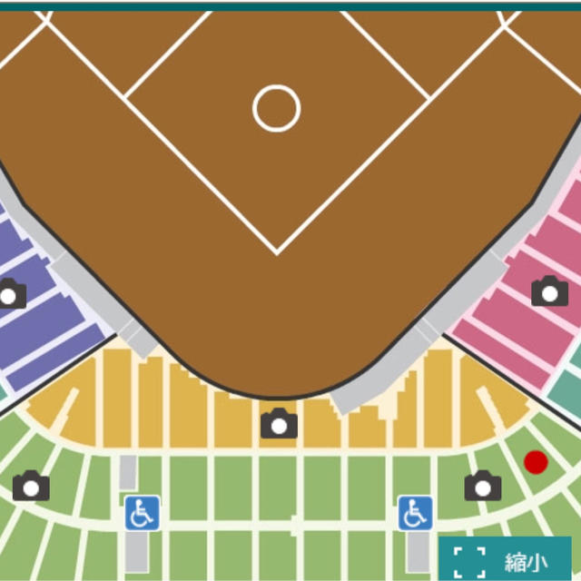 阪神タイガース(ハンシンタイガース)の甲子園 阪神VS日本ハム戦 6月9日（日）グリーンシート ペアチケット♪ チケットのスポーツ(野球)の商品写真