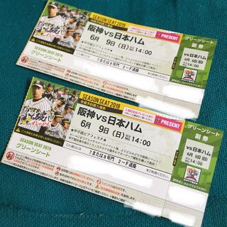 ハンシンタイガース(阪神タイガース)の甲子園 阪神VS日本ハム戦 6月9日（日）グリーンシート ペアチケット♪(野球)