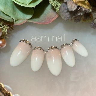 ネイルチップ ジェルネイル asmnail