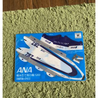 エーエヌエー(ゼンニッポンクウユ)(ANA(全日本空輸))のANA 組み立て飛行機(その他)