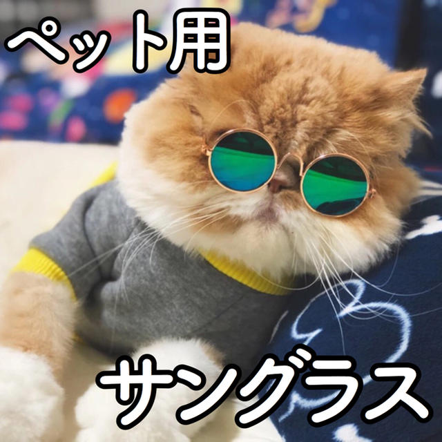 【新品】猫 犬 うさぎ サングラス メガネ 眼鏡 コスプレ ブライス その他のペット用品(猫)の商品写真