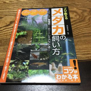 プロが教えるメダカの飼い方& 日本一のブリーダーが教えるメダカの育て方セット(趣味/スポーツ/実用)