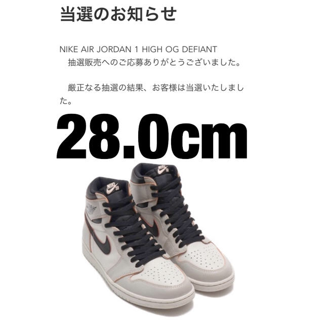 nikeSBサイズ28.0 Nike SB Air Jordan1 OG NYC TO PARIS