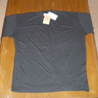 アルマーニジーンズ(ARMANI JEANS)の【新品】ARMANI  JEANS Ｔシャツ  MENS   サイズ：Ｌ  (Tシャツ/カットソー(半袖/袖なし))