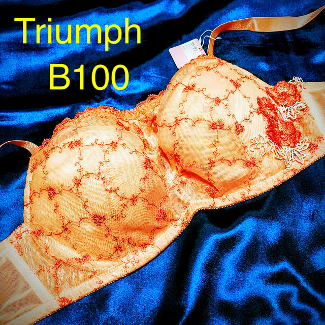 Triumph(トリンプ)のトリンプB100ブラジャー  TriumphB100ブラ レディースの下着/アンダーウェア(ブラ)の商品写真