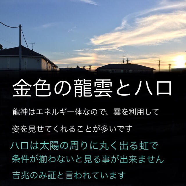 祝令和 枚数限定龍神お守り☆貴重な全身虹色と金色に輝く白蛇の抜け殻を使用 ハンドメイドの生活雑貨(その他)の商品写真