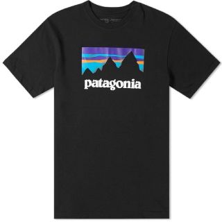 パタゴニア(patagonia)のぽんちゃん様専用 SHOP STICKER RESPONSIBILI-TEE(Tシャツ/カットソー(半袖/袖なし))