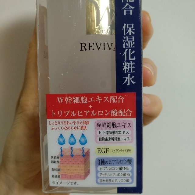 ヒト幹細胞エキス配合保湿化粧水2本 コスメ/美容のスキンケア/基礎化粧品(化粧水/ローション)の商品写真