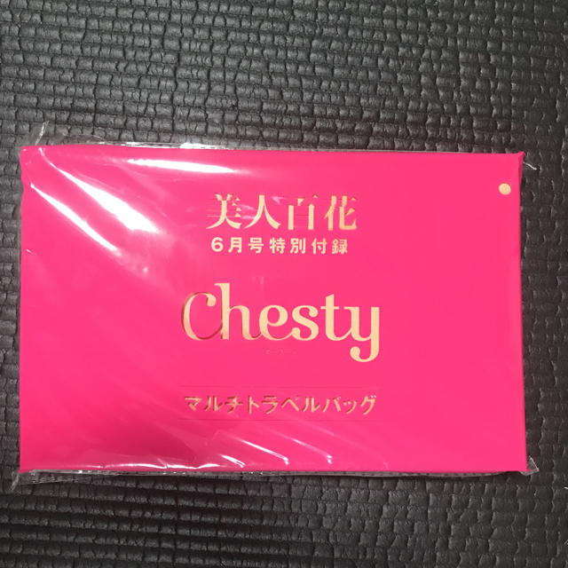 Chesty(チェスティ)のマルチトラベルバッグ 美人百花 付録 レディースのバッグ(その他)の商品写真