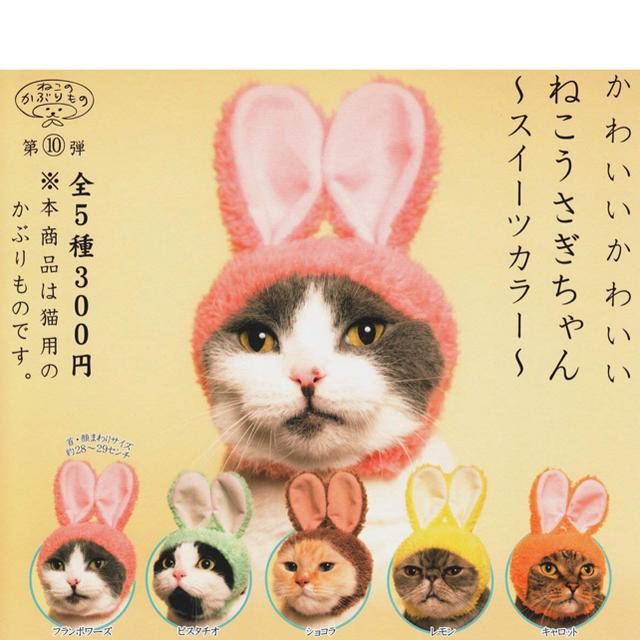 猫 被り物 うさぎ ガチャの通販 By Yuki S Shop ラクマ